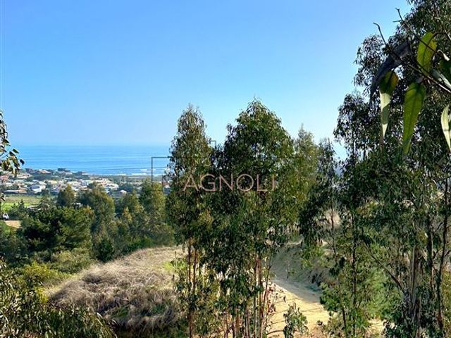 place photo 45
