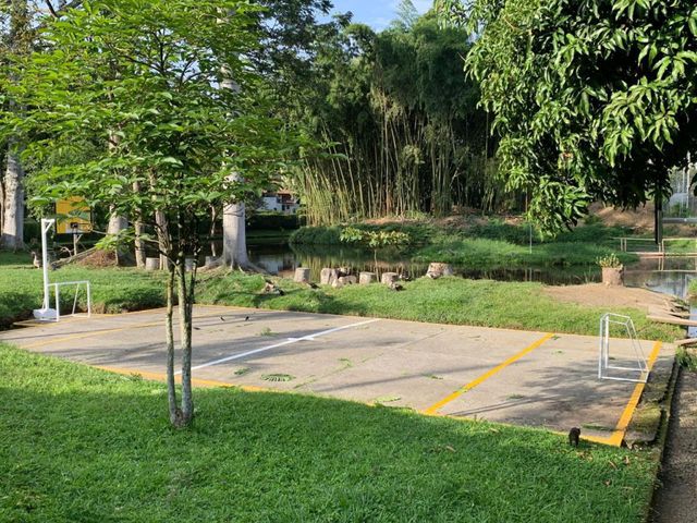 place photo 24