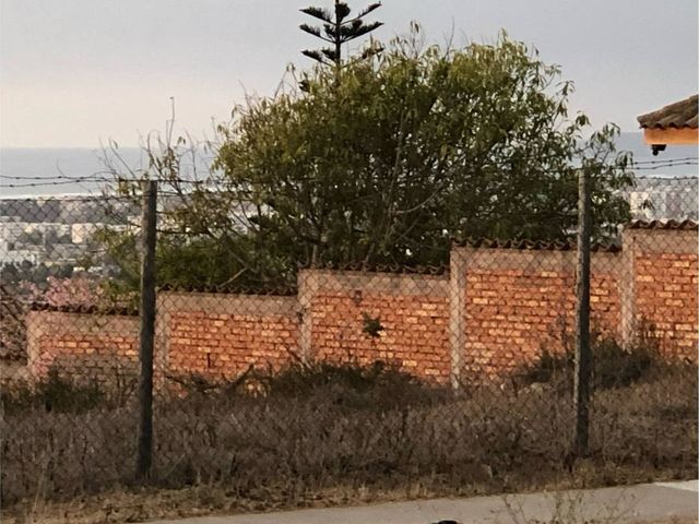 place photo 24