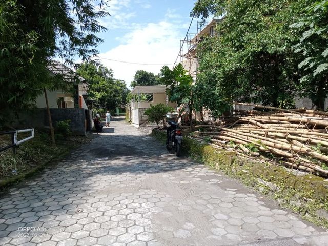 place photo 4