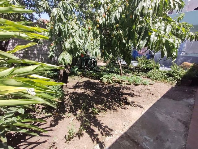 place photo 22
