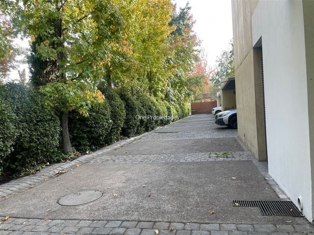 place photo 32