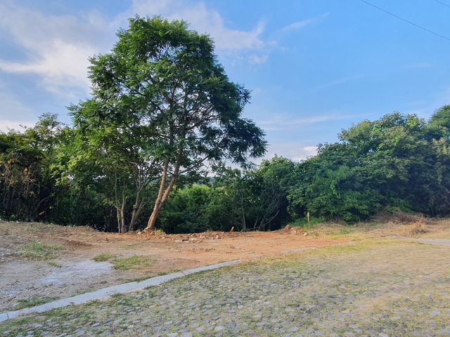 place photo 27