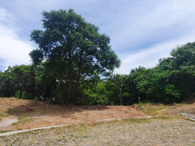 place photo 32