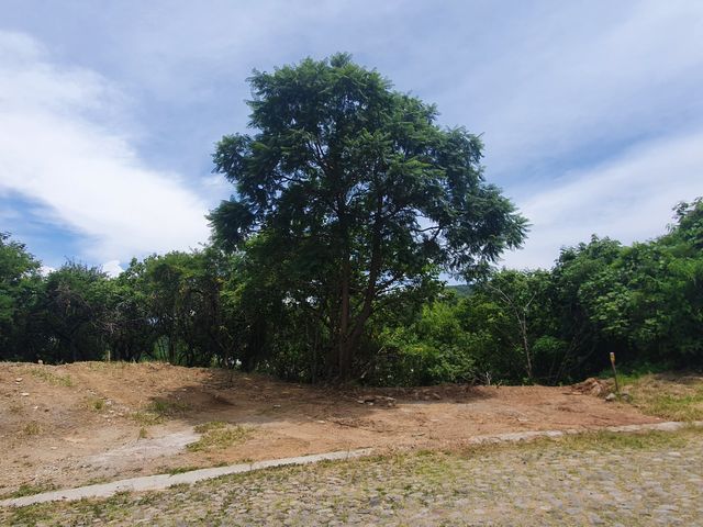 place photo 38