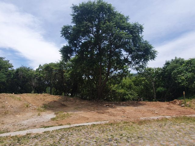 place photo 43