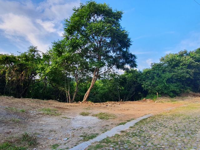 place photo 29