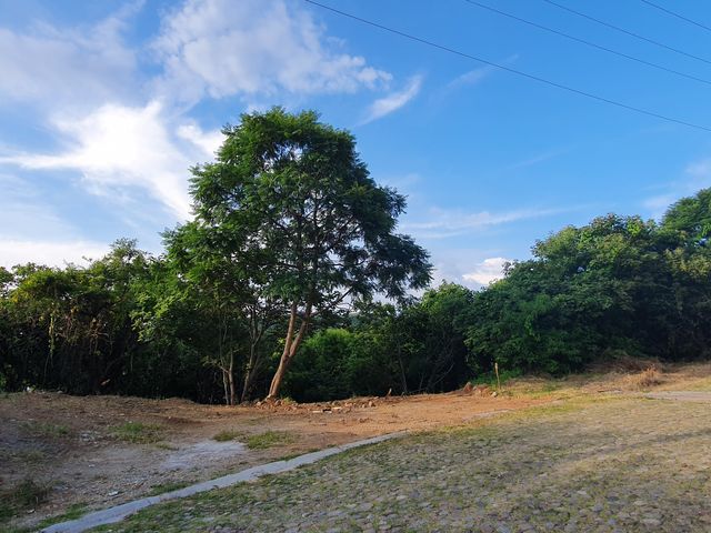 place photo 40