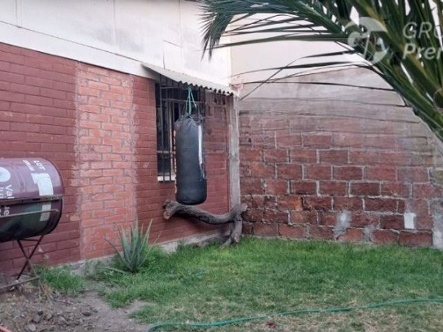 place photo 19