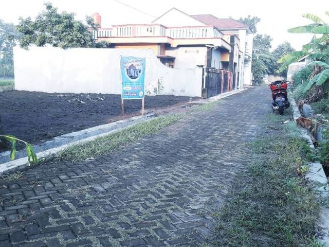 place photo 5