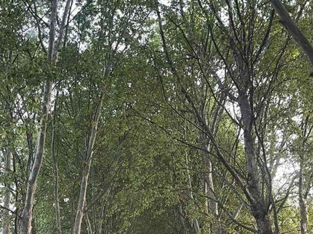 place photo 26