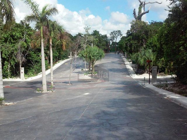 place photo 42