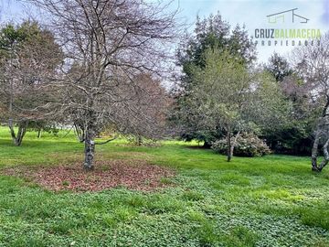 place photo 67