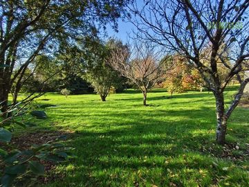 place photo 64