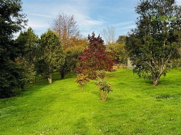 place photo 65