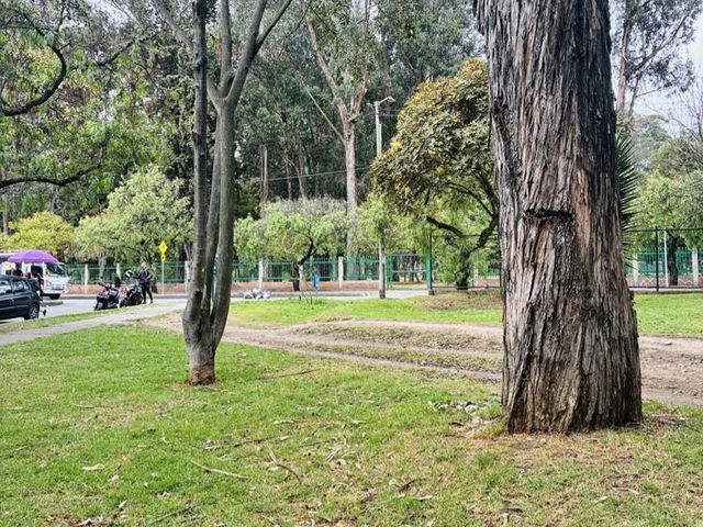 place photo 29