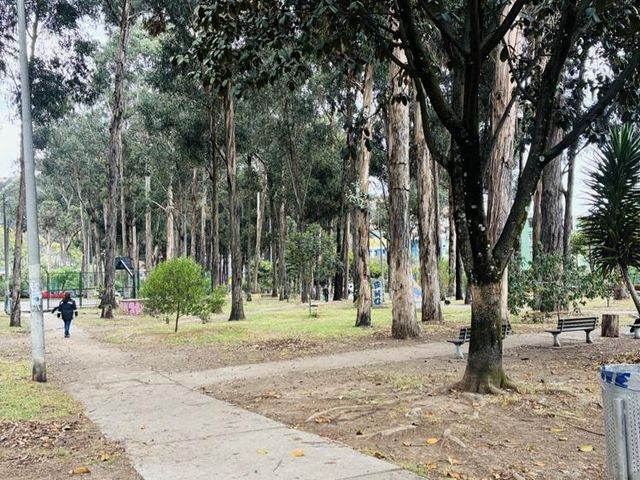 place photo 27