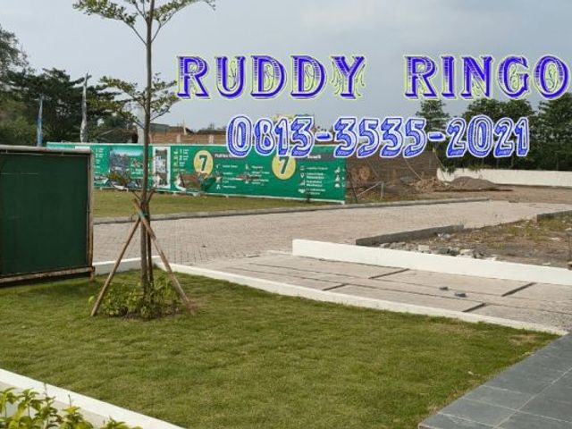 place photo 5