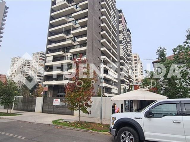 place photo 28