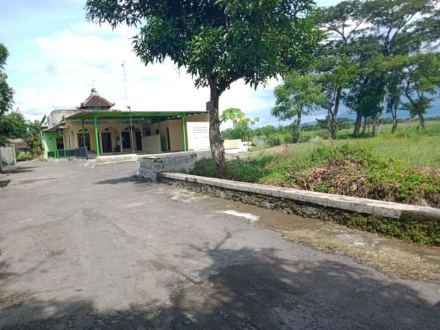 place photo 3