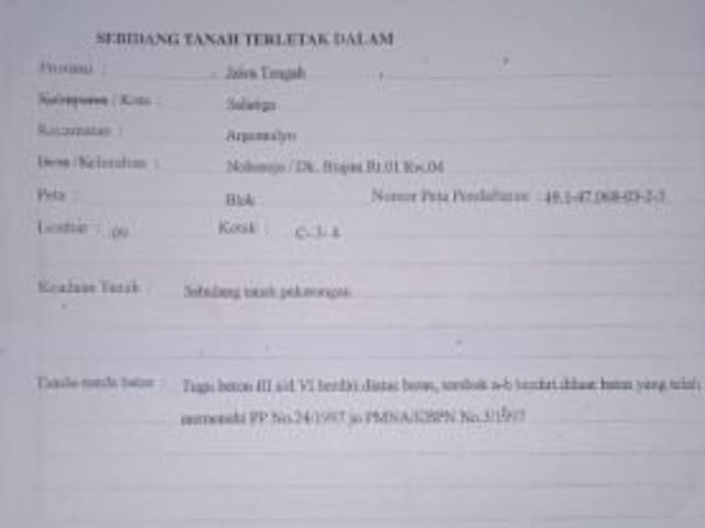 place photo 13