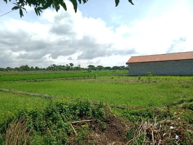 place photo 6