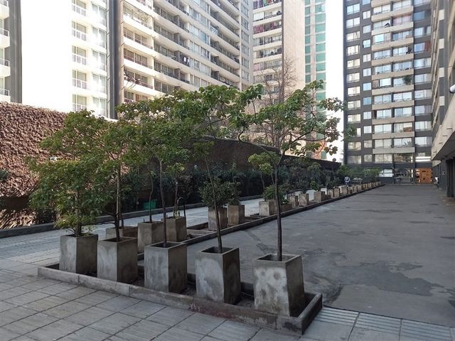 place photo 28