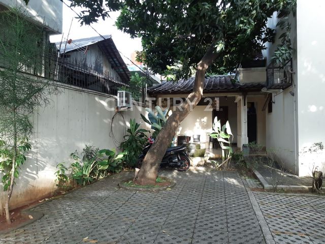 place photo 10