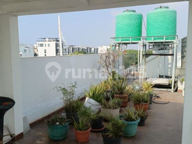 place photo 19