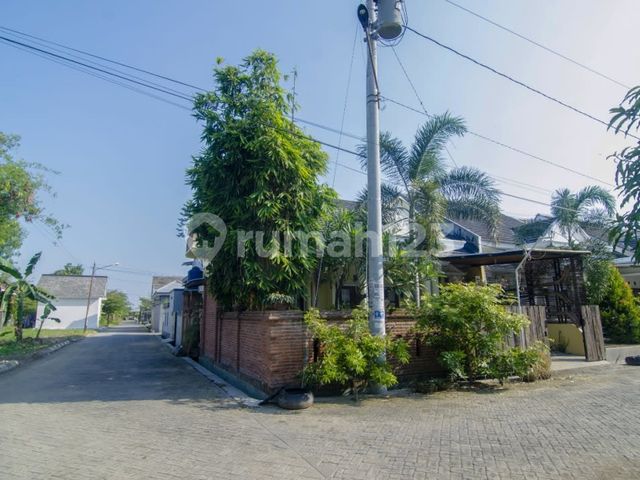 place photo 17