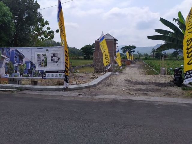 place photo 4