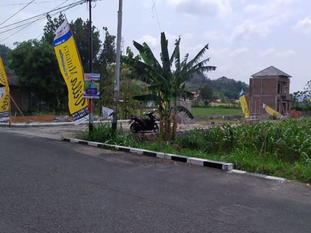 place photo 3