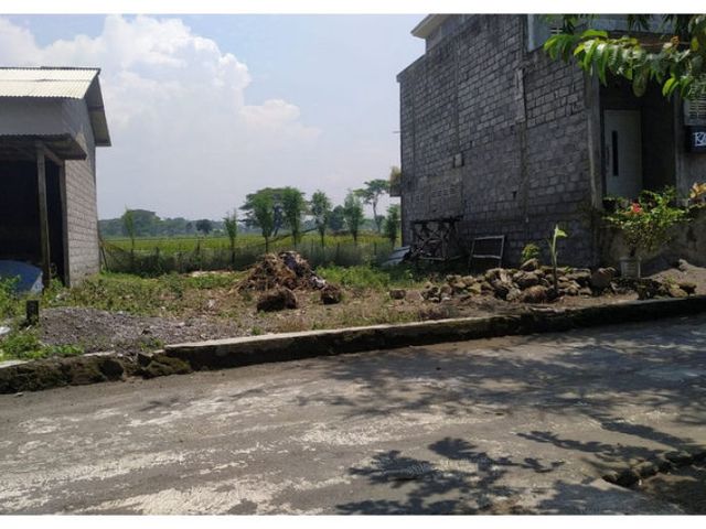 place photo 6