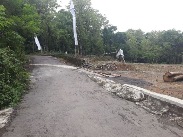 place photo 5