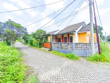 place photo 22