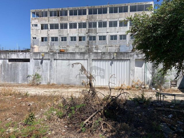 place photo 39