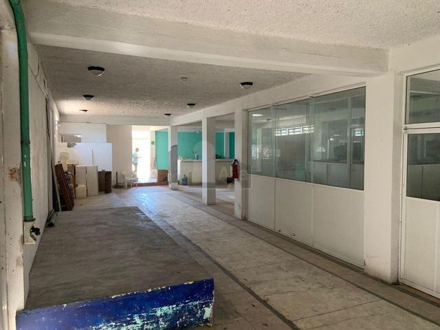 place photo 17