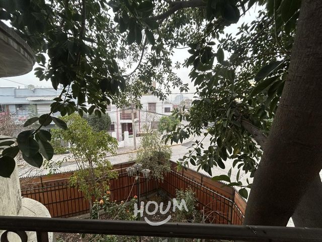 place photo 61