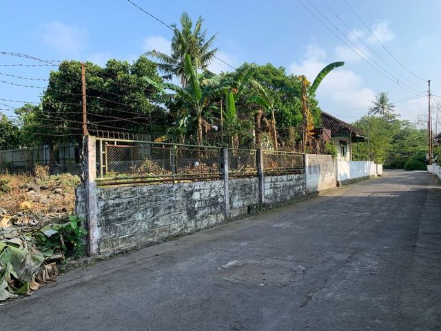 place photo 4