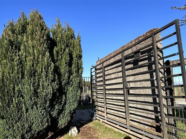 place photo 37