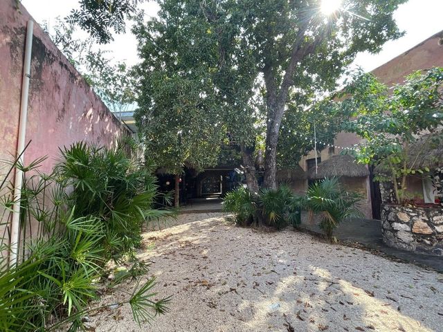 place photo 22