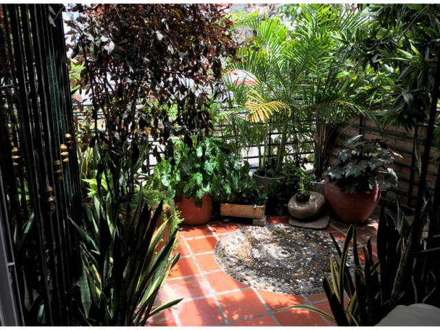 place photo 20