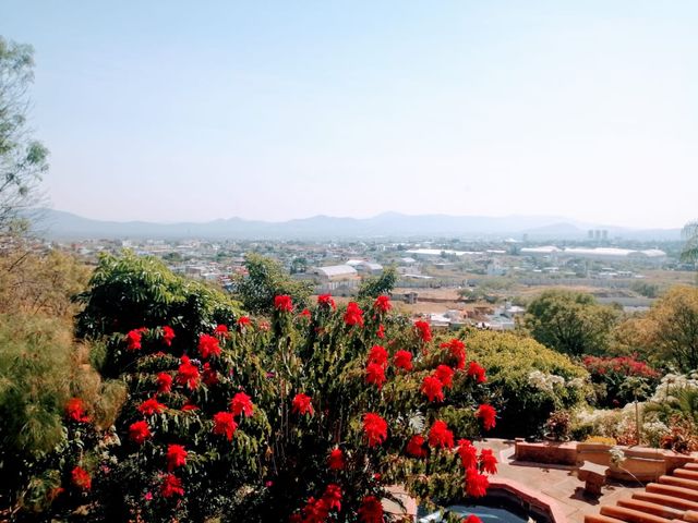 place photo 11