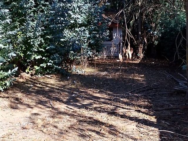 place photo 37