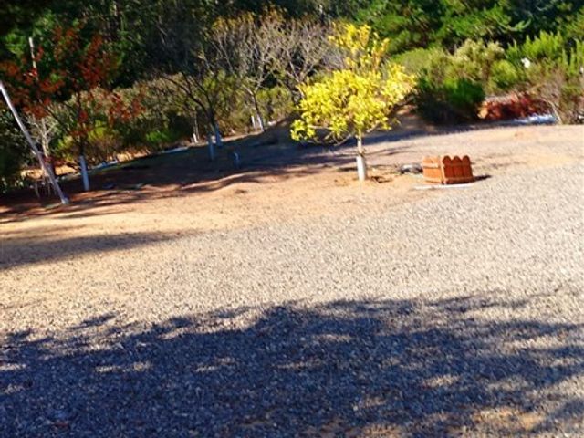 place photo 36