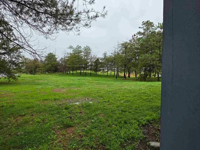 place photo 31