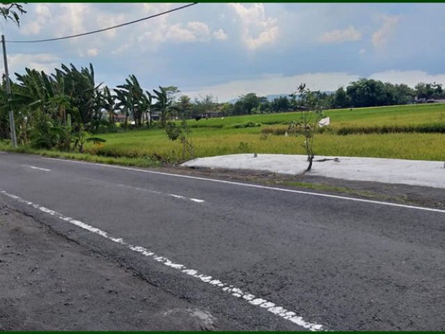 place photo 5
