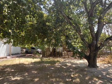 place photo 22