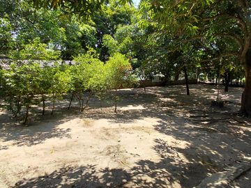 place photo 18