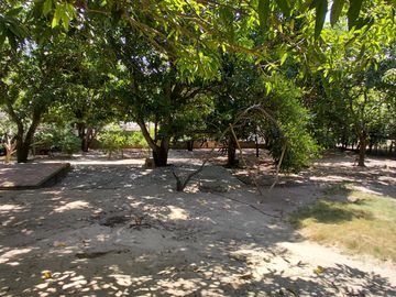 place photo 15